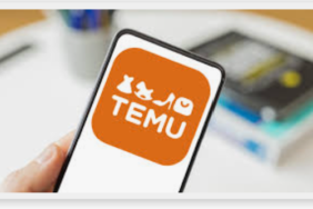 TEMU.png